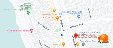 Logo Orange Blossom Salon